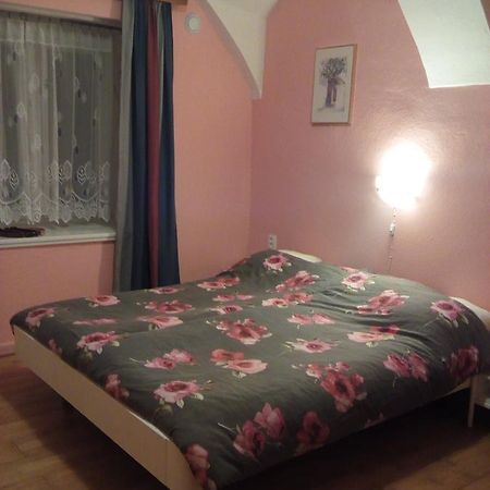Country House U Potoka Guest House Božanov Exterior foto