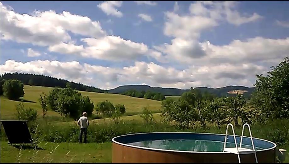 Country House U Potoka Guest House Božanov Exterior foto