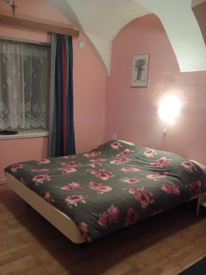Country House U Potoka Guest House Božanov Exterior foto